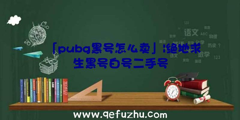 「pubg黑号怎么卖」|绝地求生黑号白号二手号